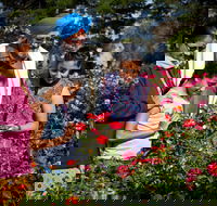 Victoria State Rose Garden at Werribee Park - eAccommodation