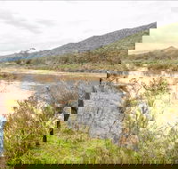Willis picnic area - eAccommodation