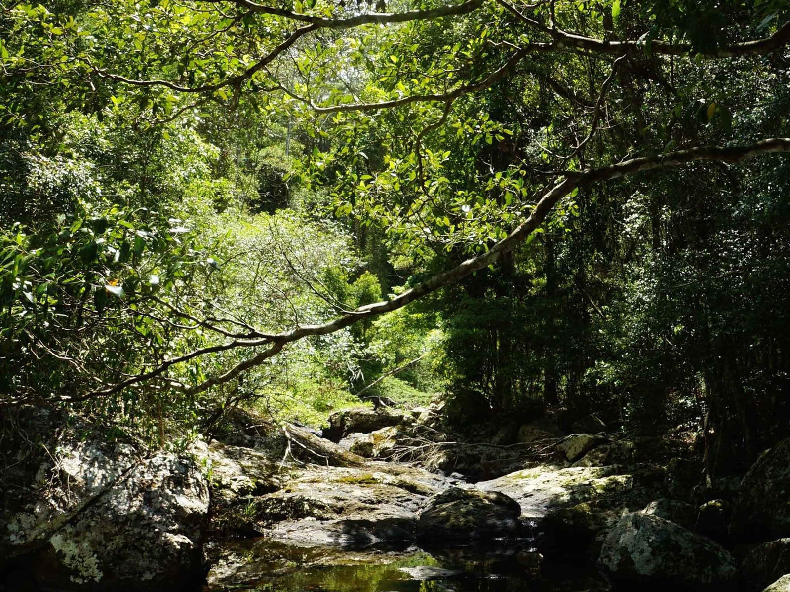 Witta QLD eAccommodation
