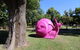 Belmore Park - thumb 0
