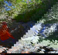 Booloumba Falls Walk Conondale National Park - eAccommodation