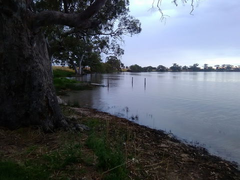 Cockatoo Lake Recreation Reserve - eAccommodation 1
