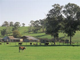 Echunga - eAccommodation 0