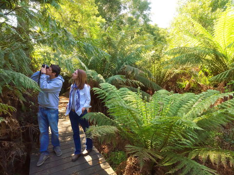 Endeavour Fern Gully Walks - eAccommodation 0