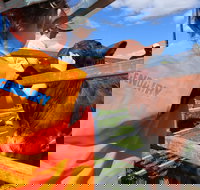 Farm Visit  Dungog - eAccommodation