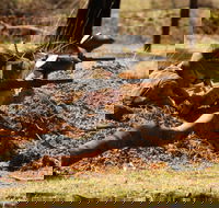 Freycinet Paintball and Campground - eAccommodation