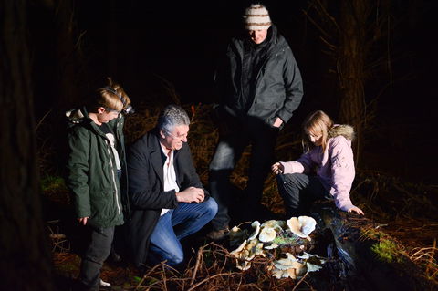 Ghost Mushroom Lane - eAccommodation 2