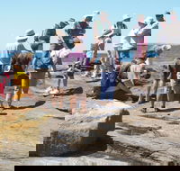 Gondwana Coast Fossil Walk - eAccommodation