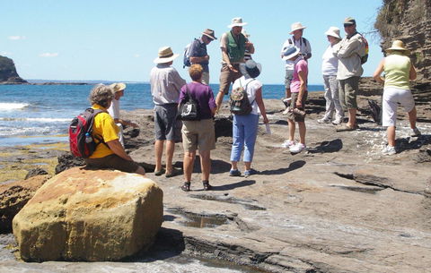 Gondwana Coast Fossil Walk - eAccommodation 0