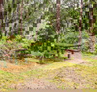 Goodenia Rainforest picnic area - eAccommodation