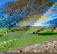 Historic Dry Stone Walls Kiama - eAccommodation