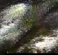 Jack And Hilda McArthur Walk - eAccommodation