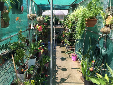 Kilcoy Craft Market - eAccommodation 1