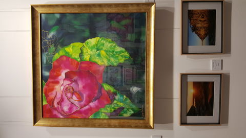 Macleay Valley Community Art Gallery - eAccommodation 0