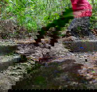 Maiala - eAccommodation