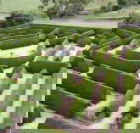 Mintaro Maze - eAccommodation