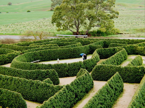 Mintaro Maze - eAccommodation 1