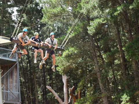 Mount Lofty Adventure Hub - eAccommodation 1