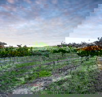 Nature and Foodies Trail - eAccommodation