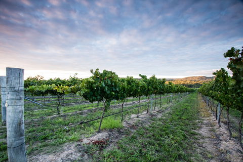 Nature And Foodies Trail - eAccommodation 0