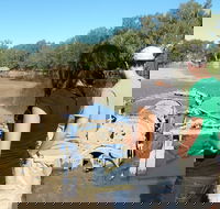 Paddle Steamer Wagga Wagga Wreck - eAccommodation