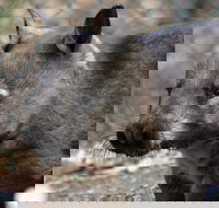 Peel Zoo - eAccommodation