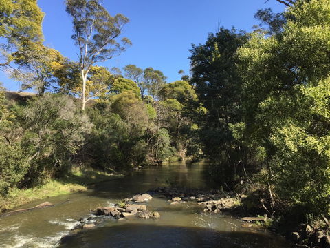 Pipers River Board Walk - eAccommodation 0