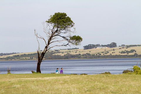 Queenscliff Golf Club - eAccommodation 2
