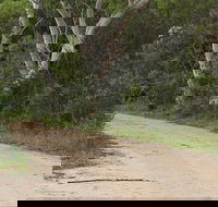 Riverview walking track - eAccommodation