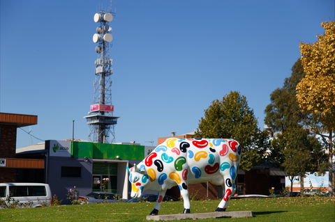 Shepparton Tower - eAccommodation 1