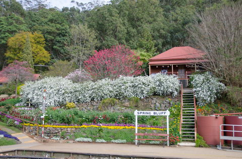 Spring Bluff Railway Station - eAccommodation 1