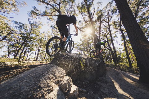 St Helens Mountain Bike Trails - eAccommodation 1