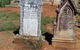 Stone Quarry Cemetery - thumb 2