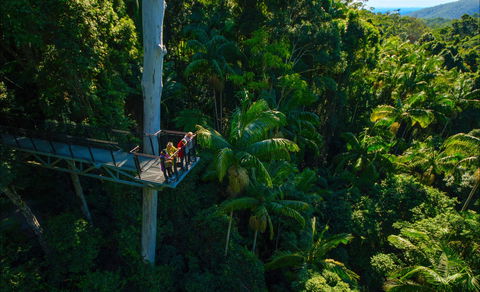 Tamborine Rainforest Skywalk - eAccommodation 0