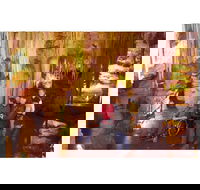 Tantanoola Caves - eAccommodation