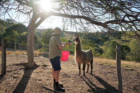 The Llama Farm - eAccommodation 2