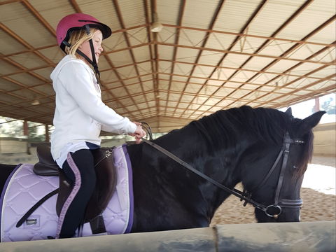 The Equine Club - eAccommodation 1