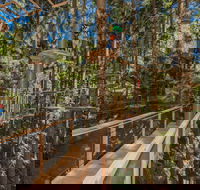 TreeTops Sydney The Hills - eAccommodation