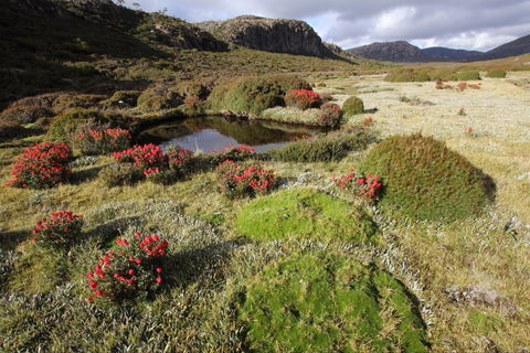 Walls Of Jerusalem National Park - eAccommodation 1