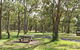 Wollomombi Gorge And Falls Picnic Area - thumb 0