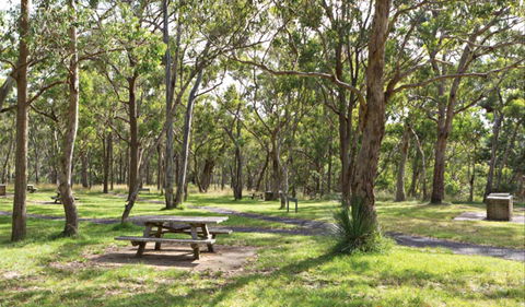 Wollomombi Gorge And Falls Picnic Area - eAccommodation 0