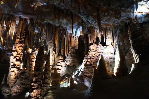 Jenolan Caves: Orient Cave Tour - eAccommodation 2
