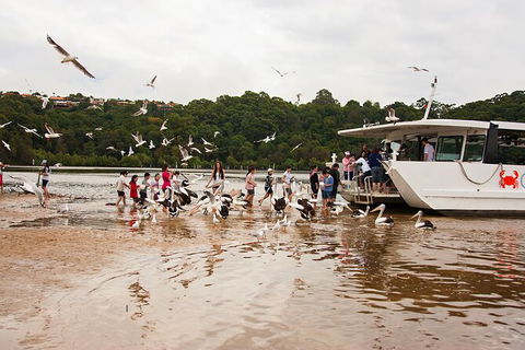 Catch A Crab Tour With Optional Seafood Lunch - eAccommodation 1