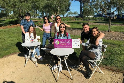 The Wine Connoisseur\'s Hunter Valley Wine Tasting Tour, Full Day - eAccommodation 2