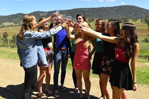 Hunter Valley Wine Tour Ex Newcastle Incl Lunch, Cheese, Chocolate & Distillery - eAccommodation 10