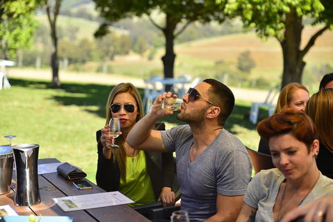 Hunter Valley Wine Tour Ex Newcastle Incl Lunch, Cheese, Chocolate & Distillery - eAccommodation 0