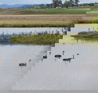 Beardy Waters Dam and Woodlands - eAccommodation
