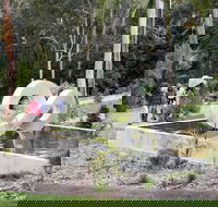 Maroochy Regional Bushland Botanic Garden - eAccommodation