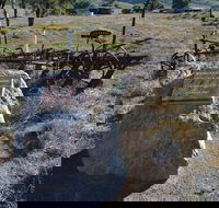 Wangaraleednie Monument  Ruins - eAccommodation