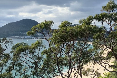 Newcastle Airport To The Tomaree Peninsula. - eAccommodation 0
